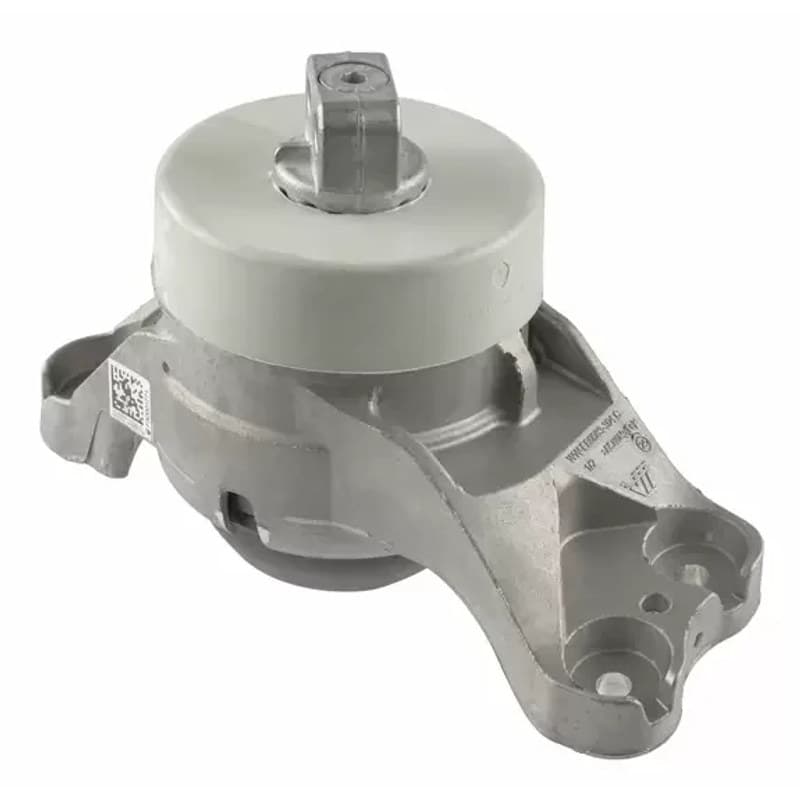 LEMFRDER variklio montavimas 45729 01