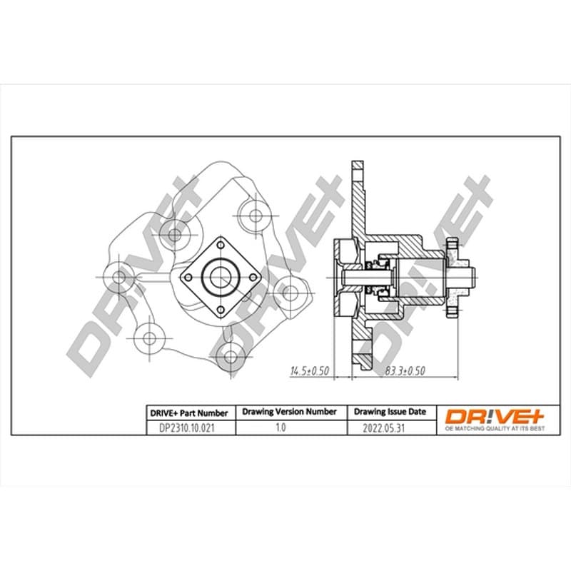 DRVE Vandens siurblys, variklio aušinimas DP2310.10.021
