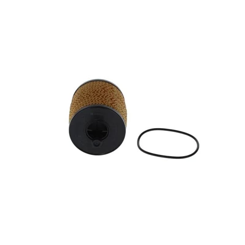 BOSCH F 026 407 322 alyvos filtras