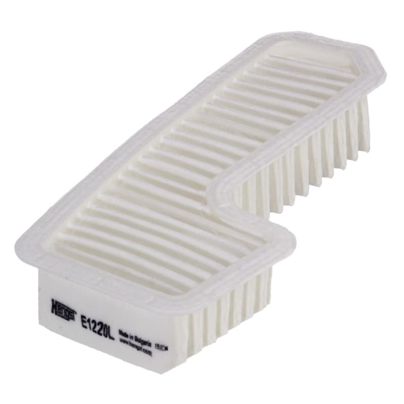 HENGSTFILTER oro filtras E1220L