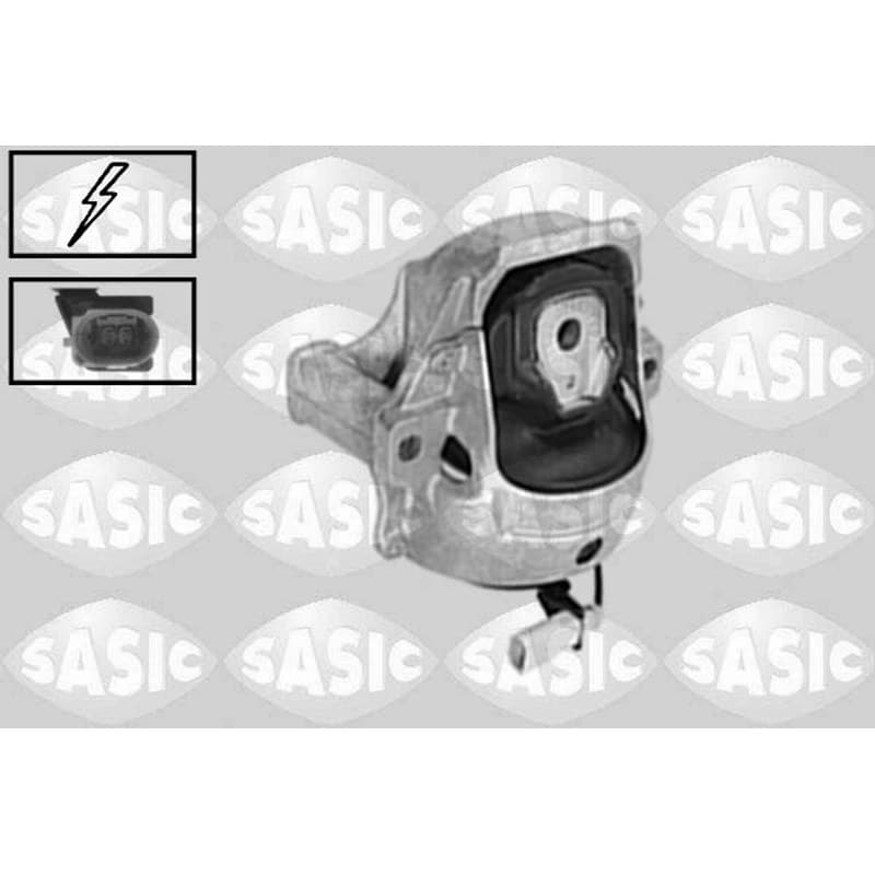 SASIC variklio montavimas 2706292