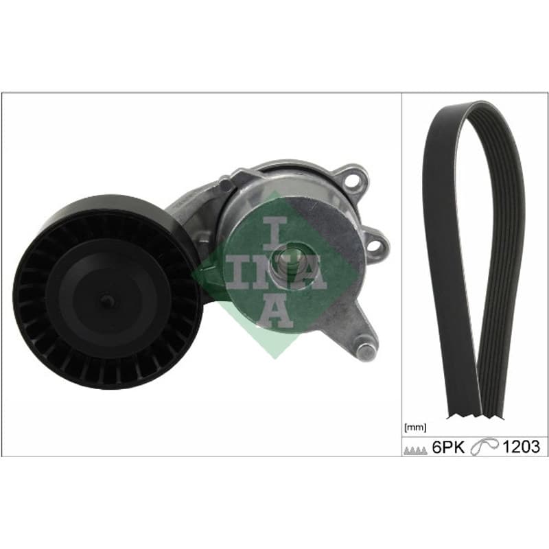 SCHAEFFLERINA V formos rumbuotas diržas, komplektas 529 0262 10