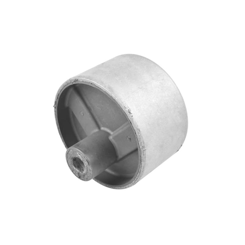 TEDGUM variklio montavimas 00747819