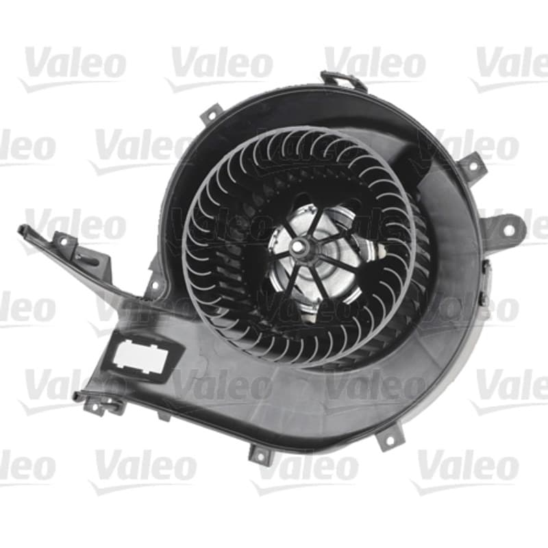 VALEO vidaus pūtiklis 698803