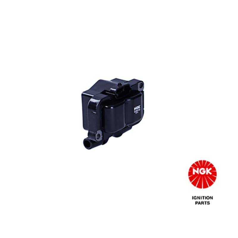 NGK ritė, uždegimas 48085 U3010
