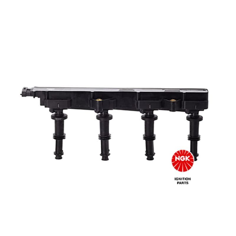 NGK ritė, uždegimas 48151 U6027