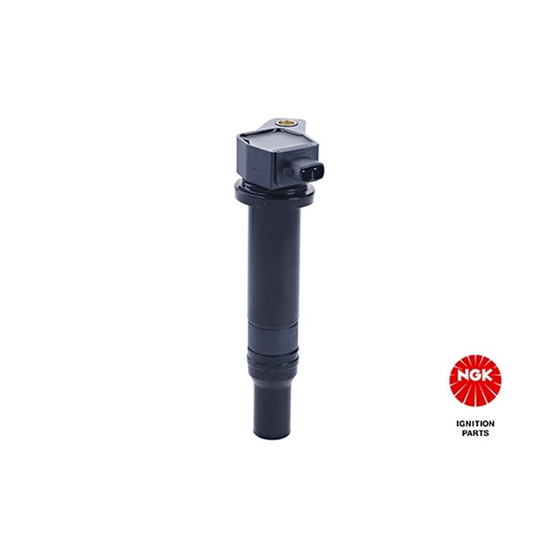 NGK ritė, uždegimas 48241 U5069