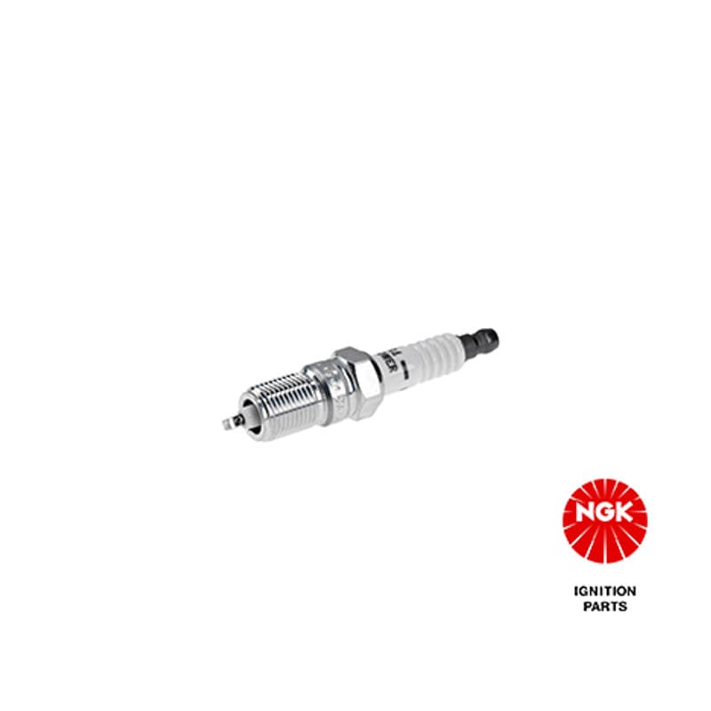 NGK 3951 uždegimo žvakė 3951 TR55