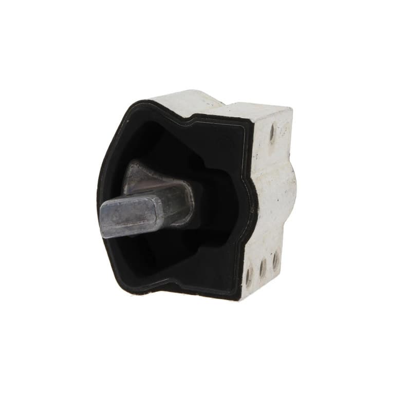 CORTECO montavimas, automatinė transmisija 49427498 COR