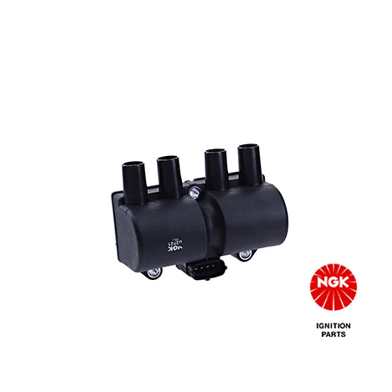 NGK ritė, uždegimas 48080 U2021