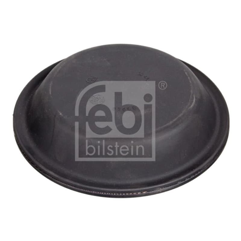 FEBIBILSTEIN membrana, membranins cilindras F07098