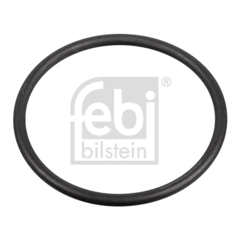 FEBIBILSTEIN tarpiklis, degalų siurblys F172666
