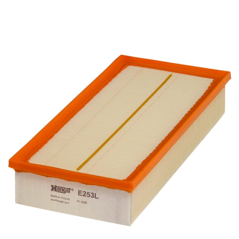 HENGSTFILTER oro filtras E253L