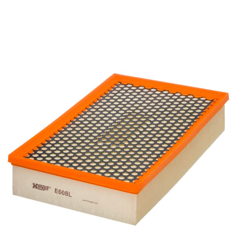 HENGSTFILTER oro filtras E608L