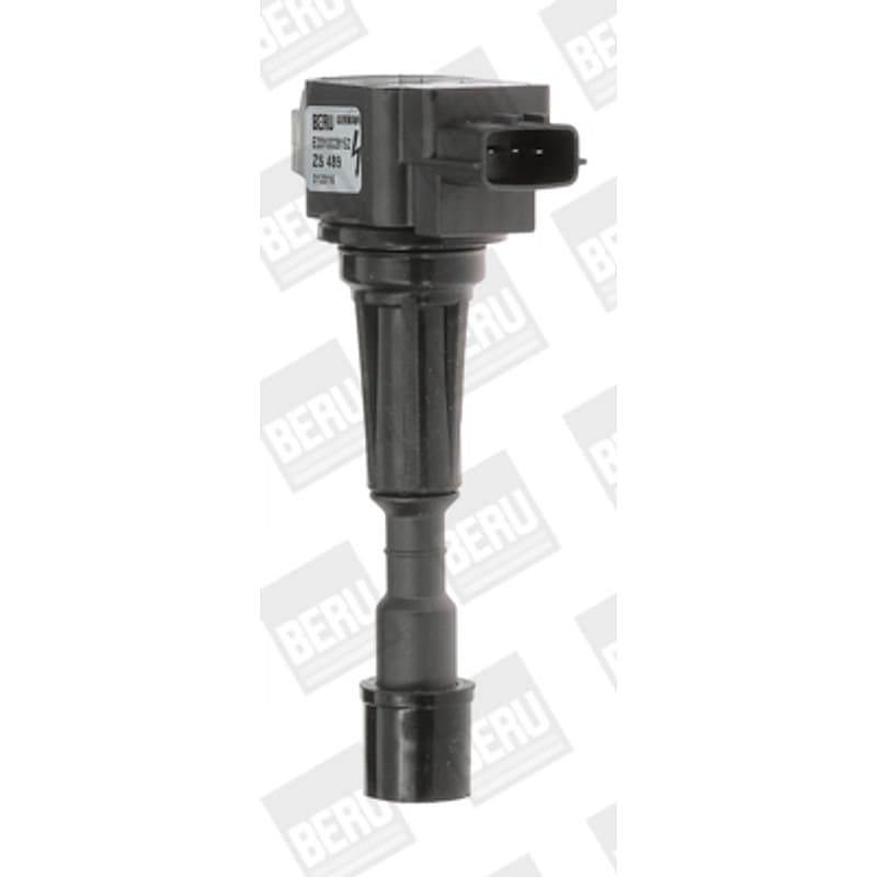 BORGWARNERBERU ritė, uždegimas ZS489