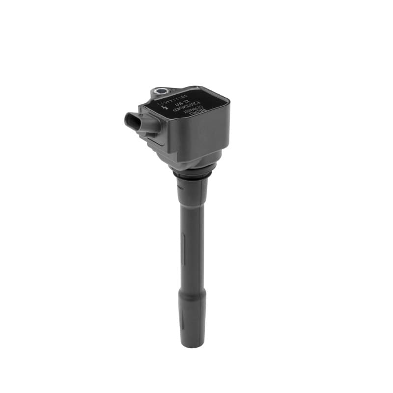 BORGWARNERBERU ritė, uždegimas ZS597
