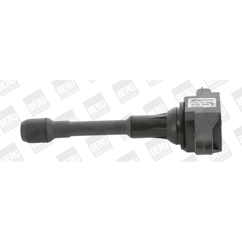 BORGWARNERBERU ritė, uždegimas ZSE088