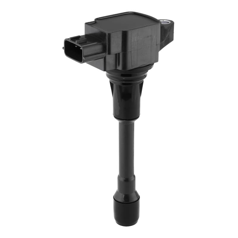 BORGWARNERBERU ritė, uždegimas ZSE302