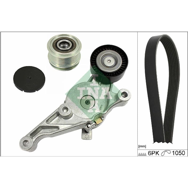 SCHAEFFLERINA V formos rumbuotas diržas, komplektas 529 0469 20