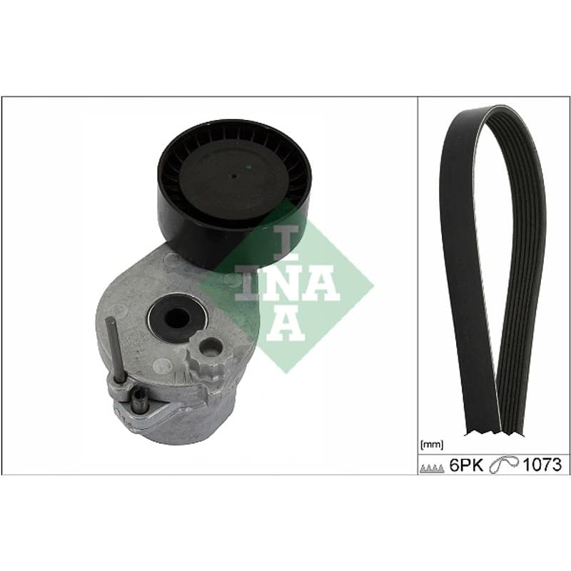 SCHAEFFLERINA V formos rumbuotas diržas, komplektas 529 0530 10