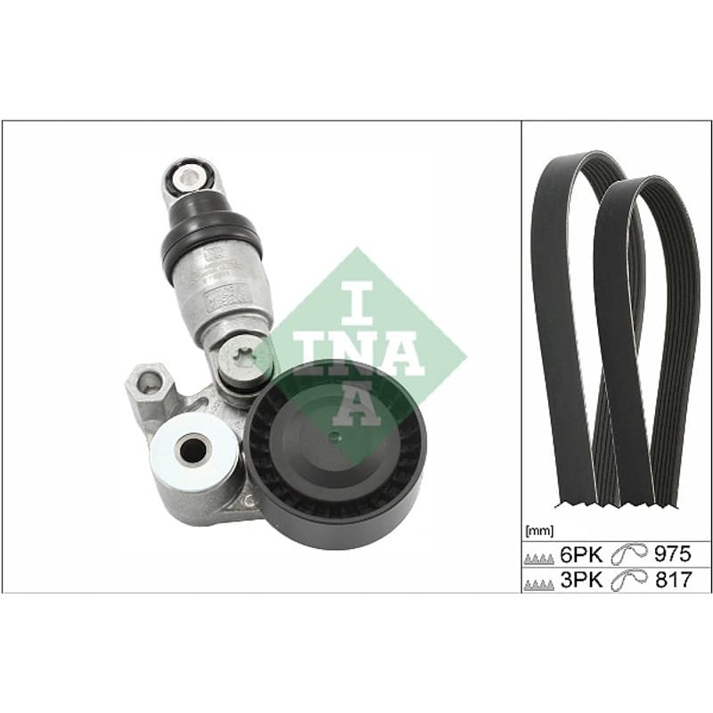 SCHAEFFLERINA V formos rumbuotas diržas, komplektas 529 0540 10