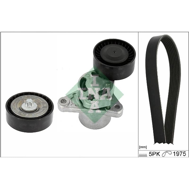 SCHAEFFLERINA V formos rumbuotas diržas, komplektas 529 0545 10