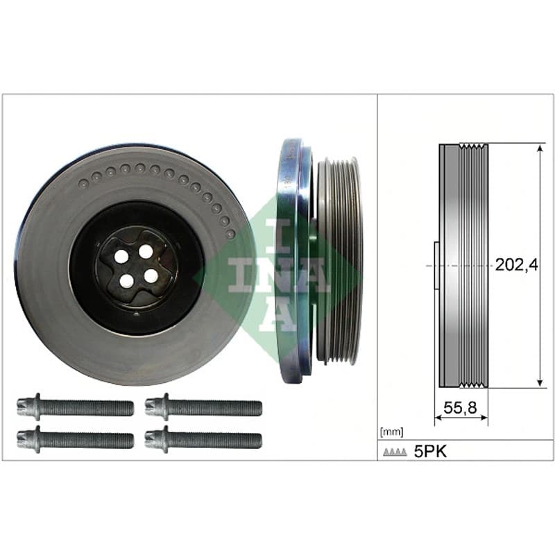 SCHAEFFLERINA alkūninio veleno skriemulių rinkinys 544 0603 20