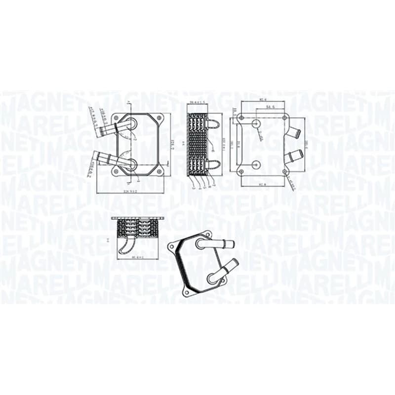 MAGNETIMARELLI alyvos aušintuvas, variklio alyva 350300006200