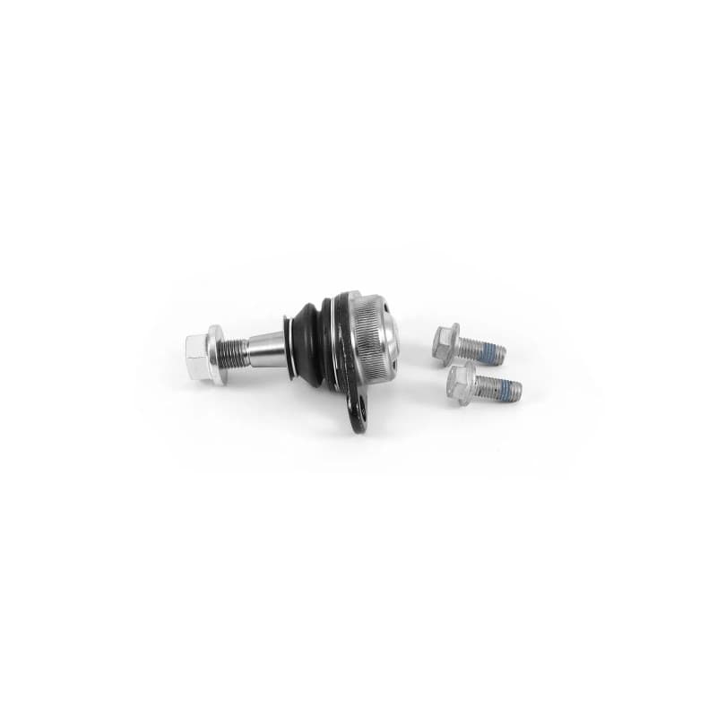 SKF VKDS 316031 Šarnyras / girgždukas VKDS316031