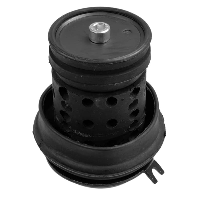 LEMFRDER variklio montavimas 14361 02