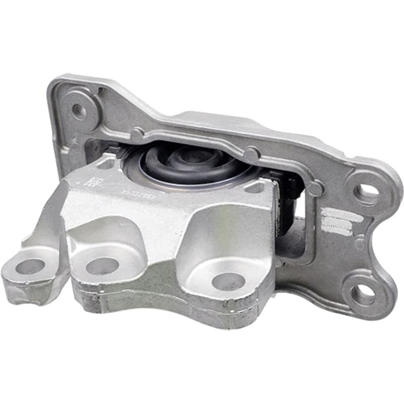 LEMFRDER variklio montavimas 42075 01