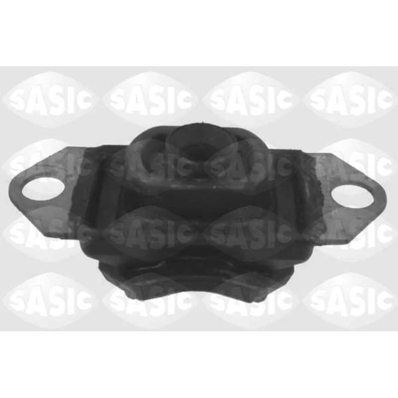 SASIC variklio montavimas 2704003