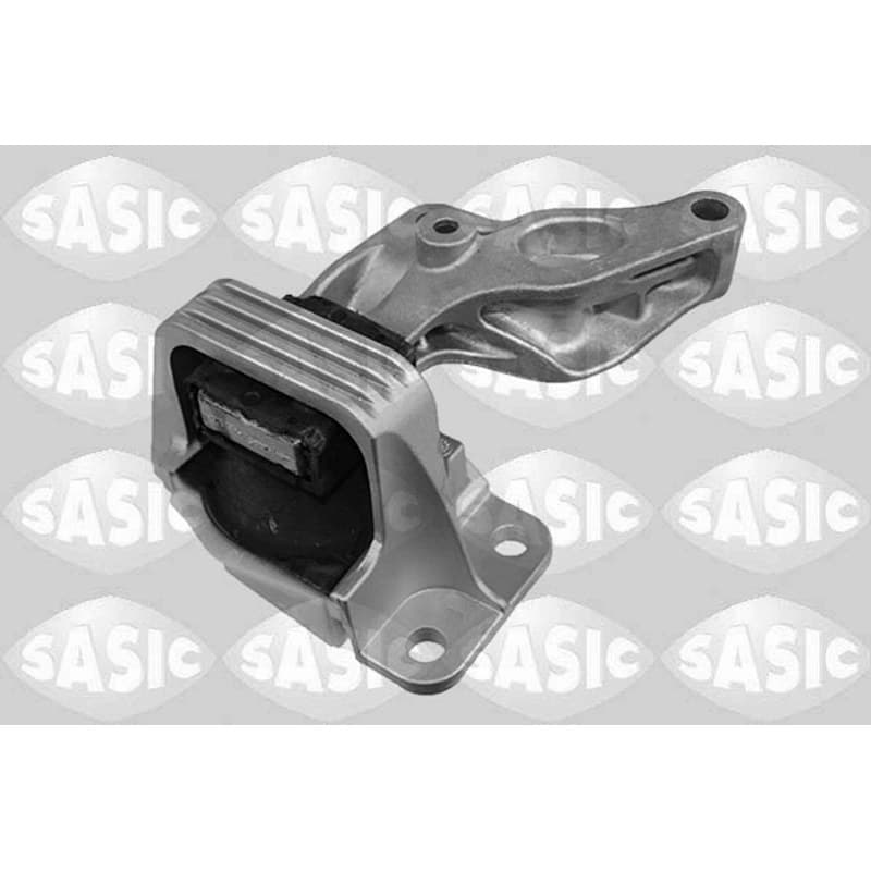 SASIC variklio montavimas 2704100