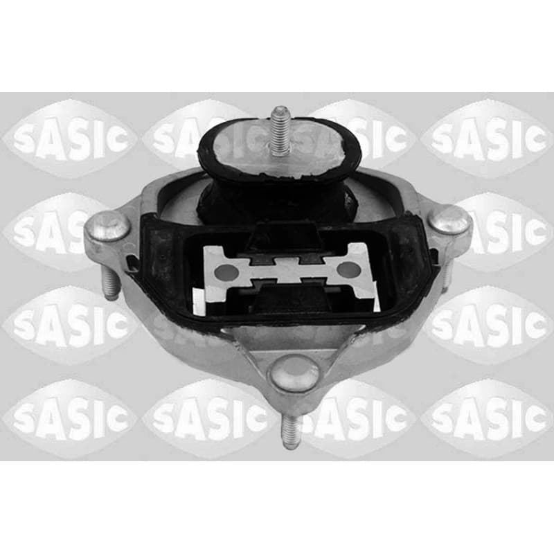 SASIC variklio montavimas 2706020