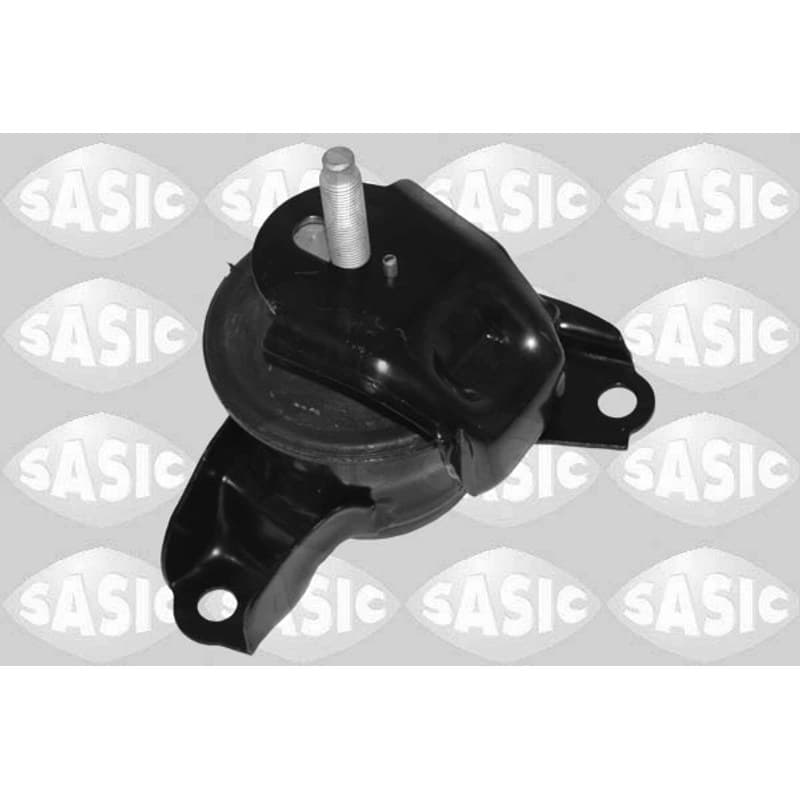 SASIC variklio montavimas 2706732