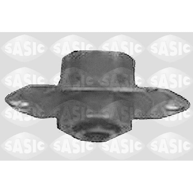 SASIC variklio montavimas 4001823