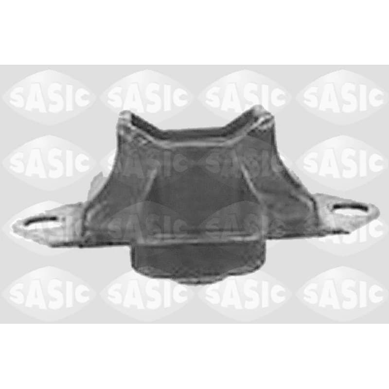 SASIC variklio montavimas 4001826