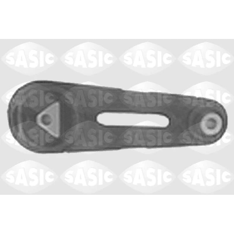SASIC variklio montavimas 9001924