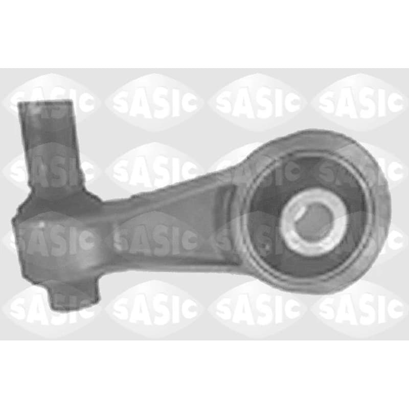 SASIC variklio montavimas 9001925
