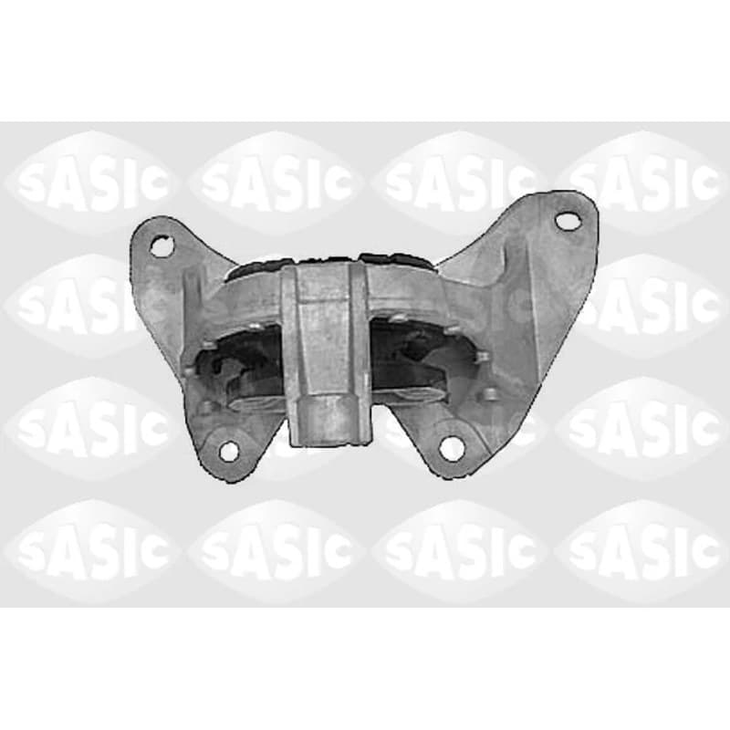 SASIC variklio montavimas 9002435