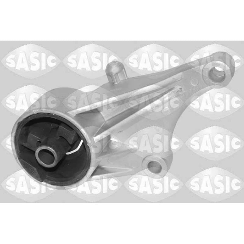 SASIC variklio montavimas 9002477