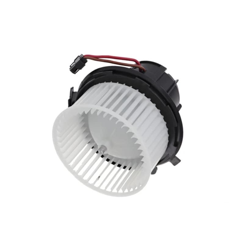 VALEO vidaus pūtiklis 884552 VALEO
