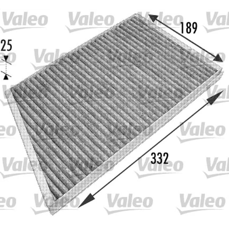 VALEO filtras, salono oras 698743 VALEO