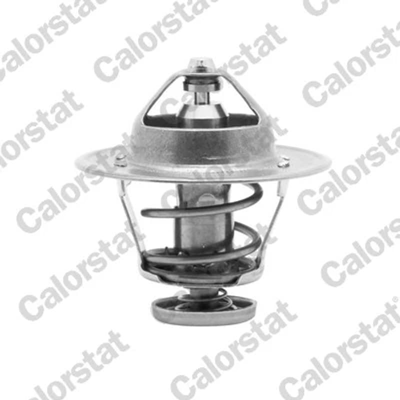 CALORSTATBYVERNET termostatas, aušinimo skystis 6252.89J VERNET