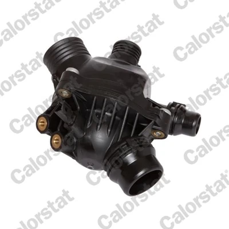 CALORSTATBYVERNET termostatas, aušinimo skystis 6984.97J VERNET
