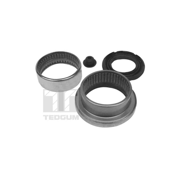 TEDGUM adatinis guolis, ašies korpusas 00518927