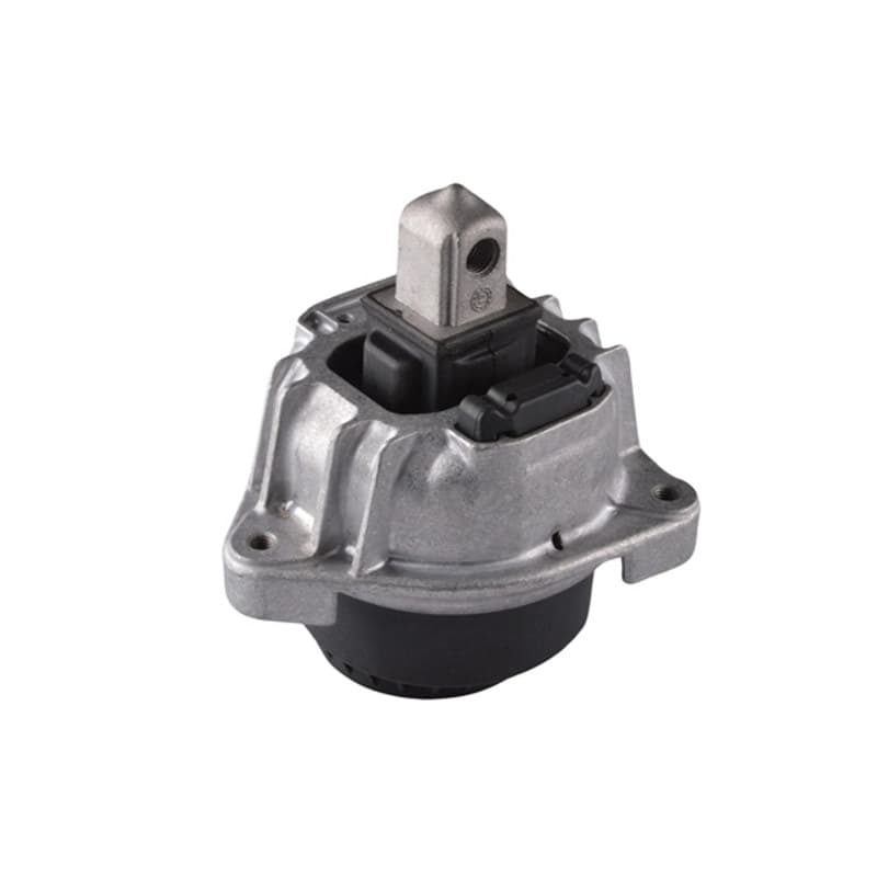 TEDGUM variklio montavimas TED77889