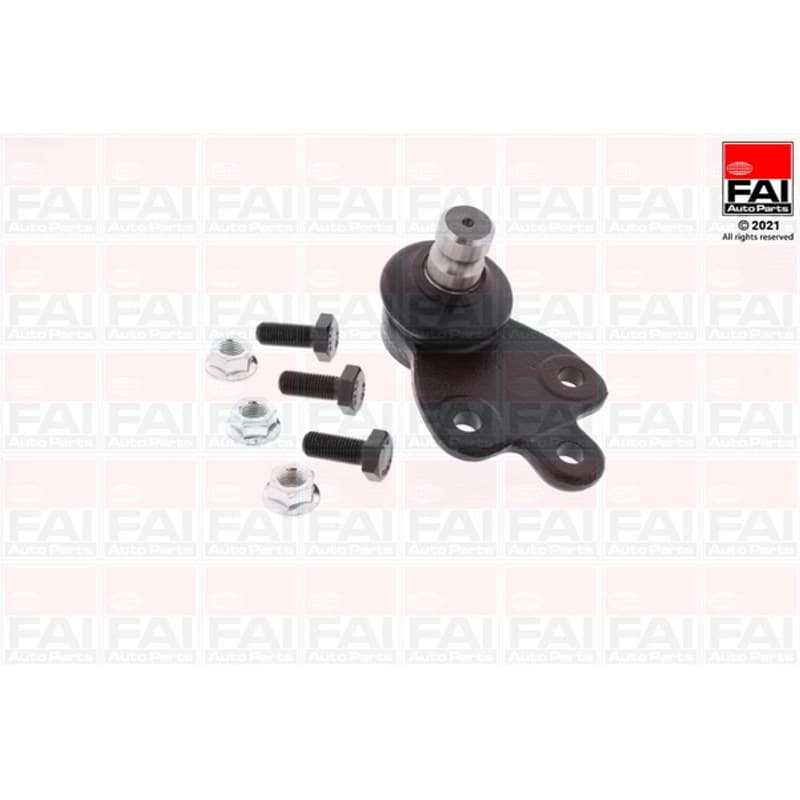 FAIAUTOPARTS Šarnyras / girgždukas SS10857 FAI
