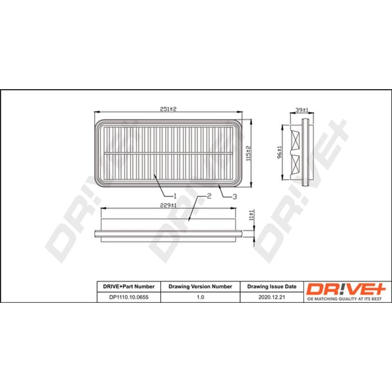 DRVE oro filtras DP1110.10.0655