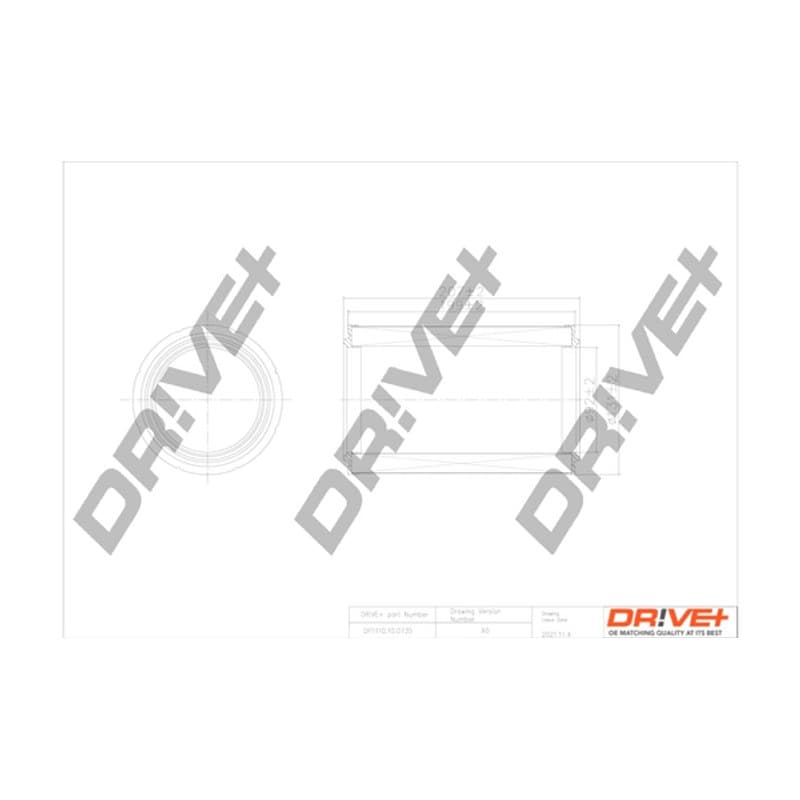 DRVE oro filtras DP1110.10.0735